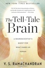 tell-tale-brain